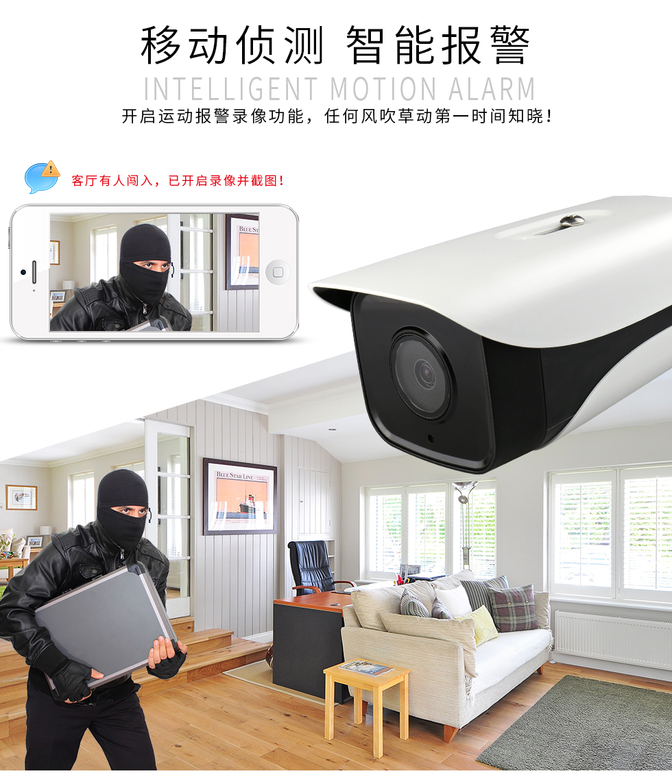 大华200万铜轴高清夜视半球摄像机(图3)